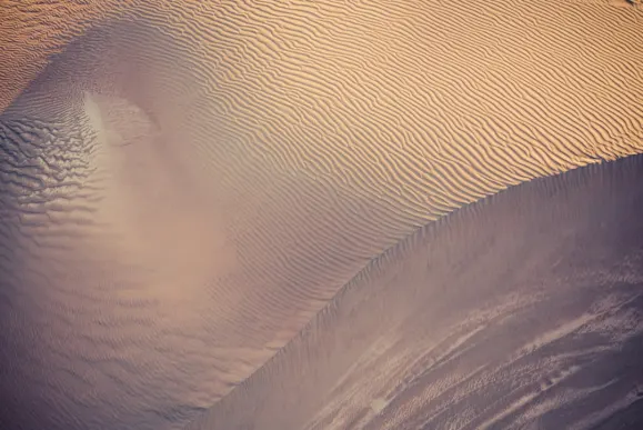 Koi Cazino Cazinou Suport